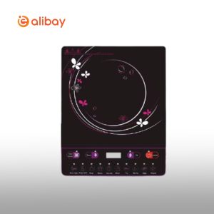 Hot Sale 2000W Single Burner