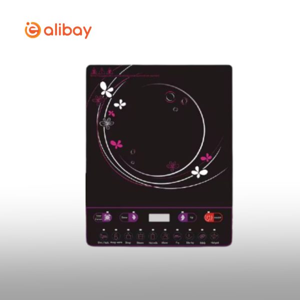 Hot Sale 2000W Single Burner