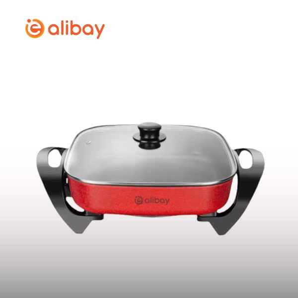 Best Electric Cooking Pots