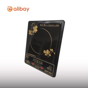2000W  Portable Electric Induction