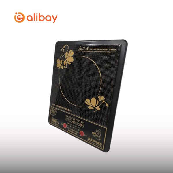 2000W  Portable Electric Induction