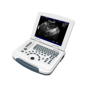 Basic Laptop Full Digital Veterinary Ultrasound System