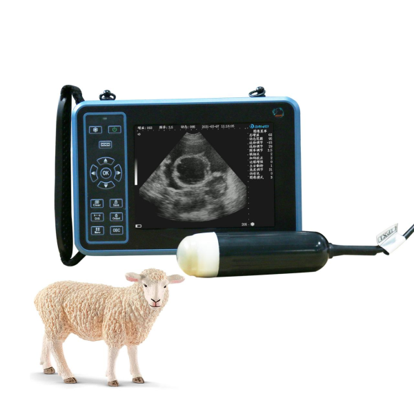 S1 Universal Veterinary B/W Ultrasound System - Image 3