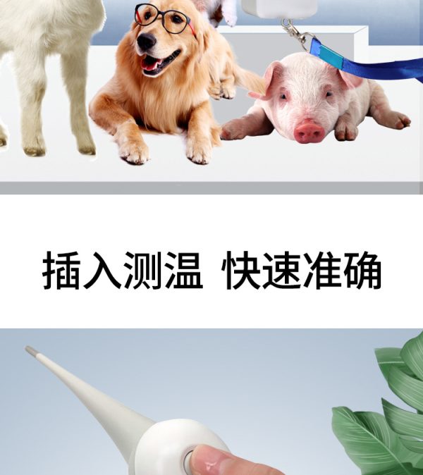 Pet & Livestock Digital Thermometer - Image 5