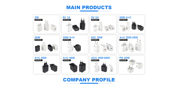 Custom 40W PD Function Quick Power Supply Adapter - Image 4